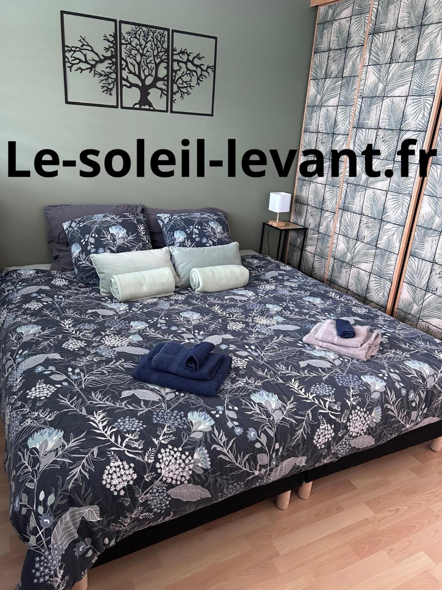 Le Soleil Levant Plage , Casino, Thalasso 贝诺代 外观 照片